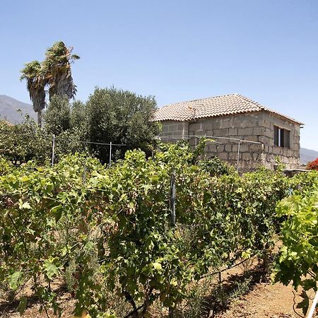Las Tres Palmeras Güimar Esterno foto