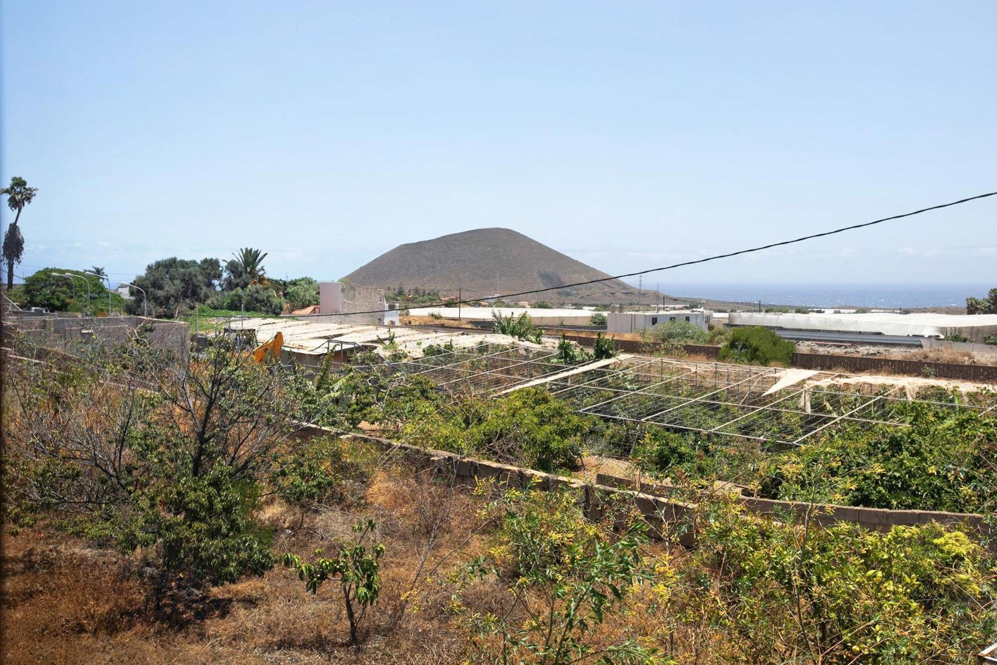 Las Tres Palmeras Güimar Esterno foto